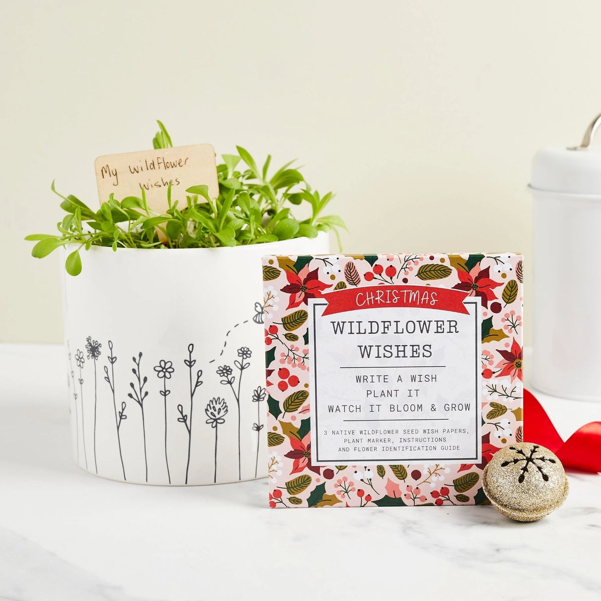 Christmas Wishes Gardening Hamper