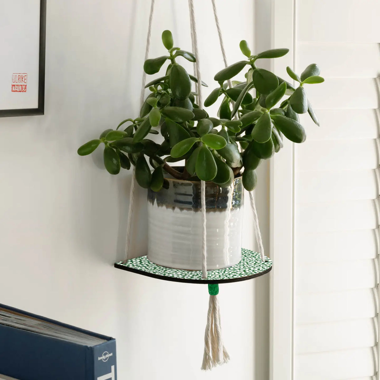 Hanging Plant Shelf