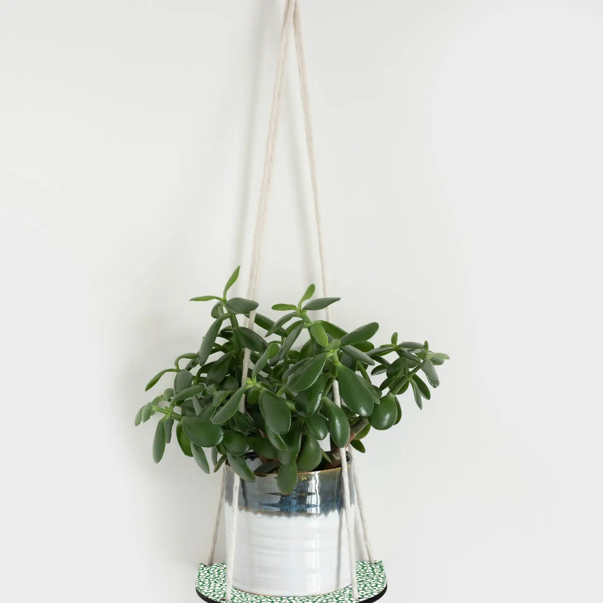 Hanging Plant Shelf